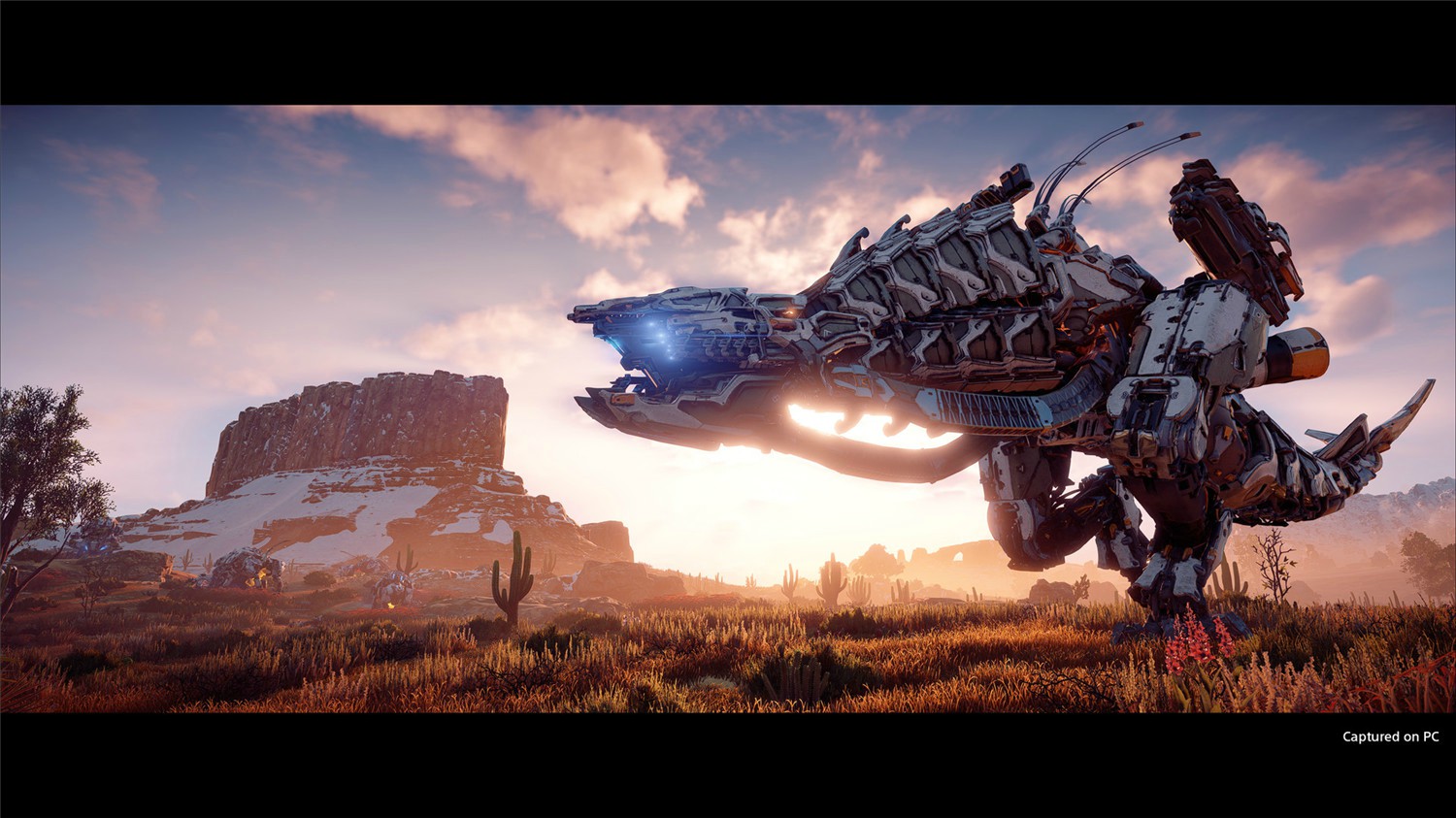 地平线：零之曙光/地平线：黎明时分/Horizon: Zero Dawn-资源站