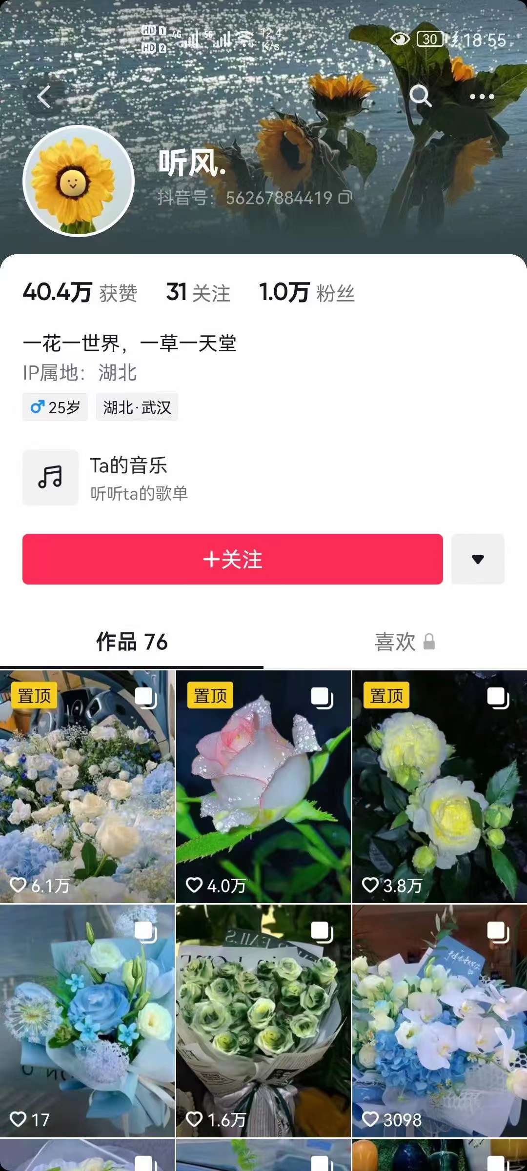 抖音壁纸变现项目：实战日入380+发布壁纸素材获取收益！-资源站